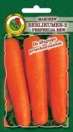 pnos-marchew-jadalna-berlikumer-2-perfekcja-rew-5g