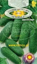 roltico-ogorek-octopus-f1-15-g