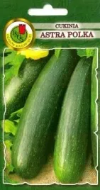 pnos-dynia-zwyczajna-cukinia-astra-polka-3g