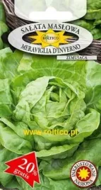 roltico-salata-meraviglia-d-inverno-1g-zimujaca