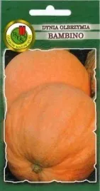 pnos-dynia-olbrzymia-bambino-5g