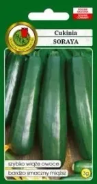 pnos-dynia-zwyczajna-cukinia-soraya-soraya-oza-3g