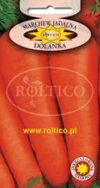 roltico-marchew-jadalna-dolanka-5g