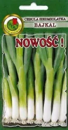 pnos-cebula-siedmiolatka-bajkal-2g