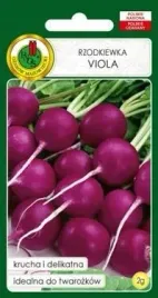 pnos-rzodkiewka-viola-2g