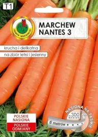 pnos-marchew-jadalna-nantes-3-6m-na-tasmie