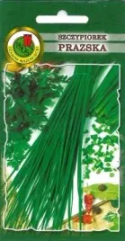 pnos-szczypiorek-prazska-2g