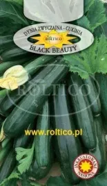 roltico-dynia-zwyczajna-cukinia-black-beauty-2g