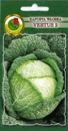 pnos-kapusta-wloska-vertus-2-2g
