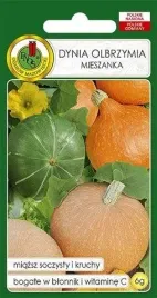 pnos-dynia-olbrzymia-mieszanka-odmian-6g