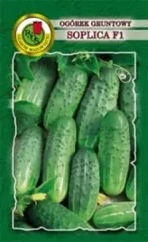 pnos-ogorek-soplica-f1-5g