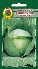 pnos-kapusta-glowiasta-biala-langedijker-bewaar-2g