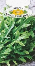 roltico-rukola-wieloletnia-dzika-05g