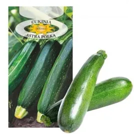 roltico-dynia-zwyczajna-astra-polka-sno-3g