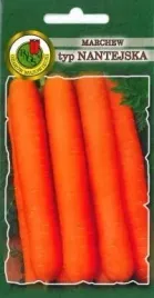 pnos-marchew-jadalna-naomi-5g