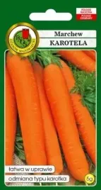 pnos-marchew-jadalna-karotela-5g