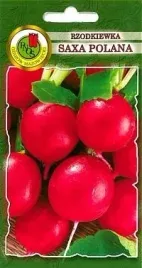 pnos-rzodkiewka-saxa-polana-10g