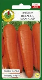 pnos-marchew-jadalna-dolanka-dolanka-oza-5g