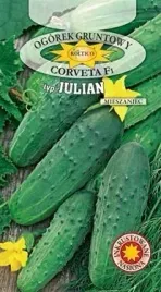 roltico-ogorek-konserwowy-corveta-f1-3-g