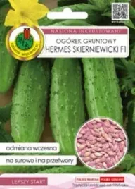 pnos-ogorek-hermes-skierniewicki-f1-5g-zaprawiany