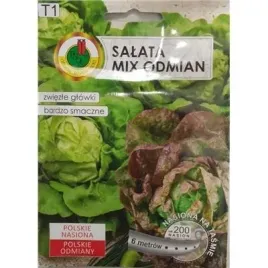 pnos-salata-jubilatka-edyta-ozarowska-6m-2x3m-na-tasmie