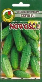 pnos-ogorek-zefir-f1-5g