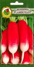 pnos-rzodkiewka-flamboyant-2-10g