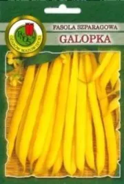pnos-fasola-zwykla-karlowa-szparagowa-galopka-50g