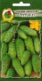 pnos-ogorek-tytus-f1-2g