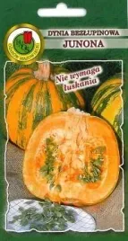 pnos-dynia-zwyczajna-junona-5g