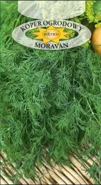 roltico-koper-moravan-5g