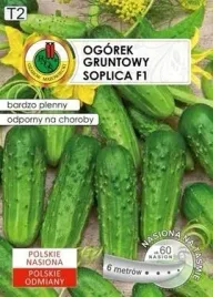 pnos-ogorek-gruntowy-soplica-6m-na-tasmie