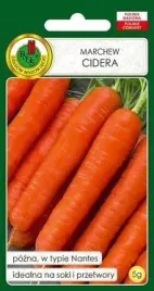 pnos-marchew-jadalna-cidera-5-g