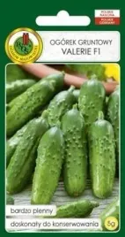 pnos-ogorek-gruntowy-konserwowy-valerie-f1-5g