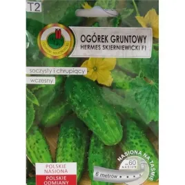 pnos-ogorek-hermes-skierniewicki-f1-6m-na-tasmie