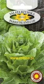 roltico-salata-parris-island-cos-1g