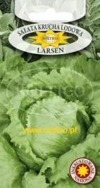 roltico-salata-larsen-1g-lodowa