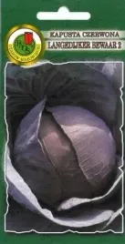 pnos-kapusta-glowiasta-czerwona-langedijker-bewaar-2-2g