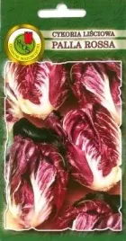 pnos-cykoria-lisciowa-palla-rossa-3-05g