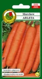 pnos-marchew-jadalna-arleta-5g