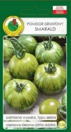 pnos-pomidor-gruntowy-zielony-paskowany-smarald-02-g