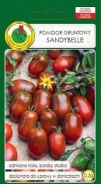 pnos-pomidor-gruntowy-sandybelle-02-g