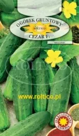 roltico-ogorek-cezar-f1-5g