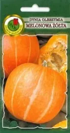 pnos-dynia-olbrzymia-melonowa-zolta-5g