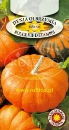 roltico-dynia-olbrzymia-rogue-vif-d-etampes-3g