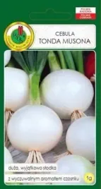 pnos-cebula-tonda-musona-1-g