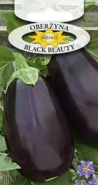 roltico-oberzyna-black-beauty-1g