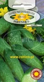 roltico-ogorek-partner-f1-2-g
