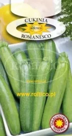 roltico-dynia-zwyczajna-cukinia-romanesco-2g