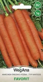 wegana-marchew-jadalna-favorit-5g